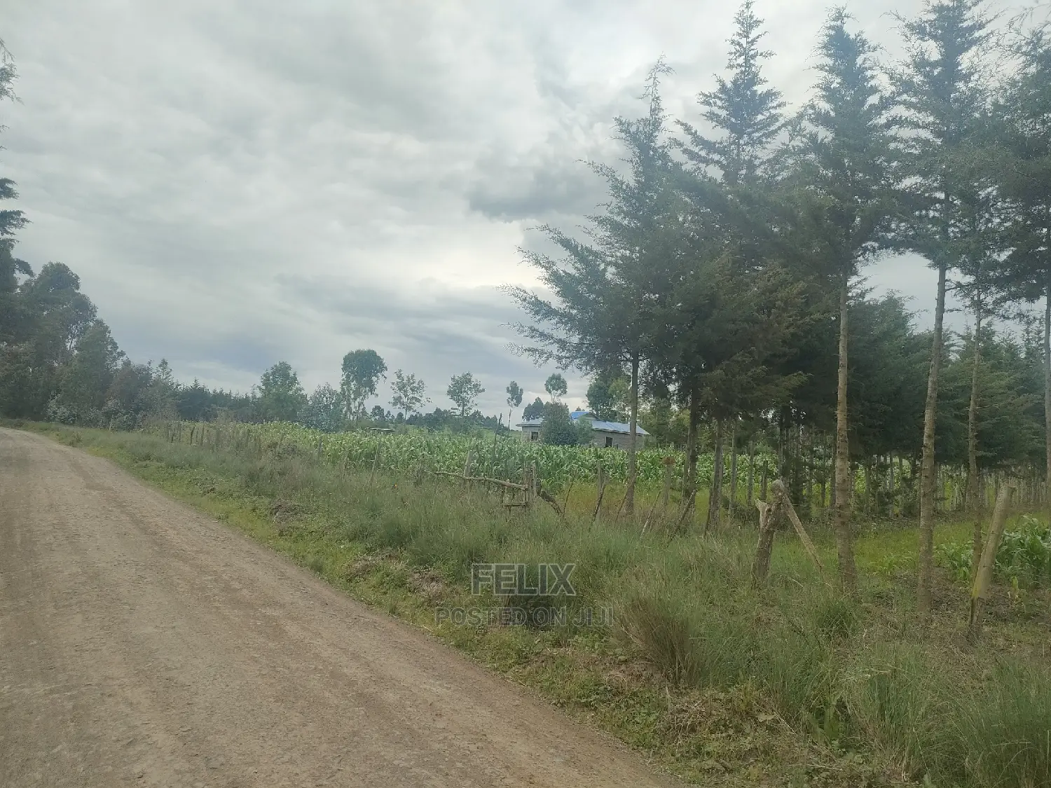 Chaka/Munyu Viewpoint 1 Acre Touching Tarmac