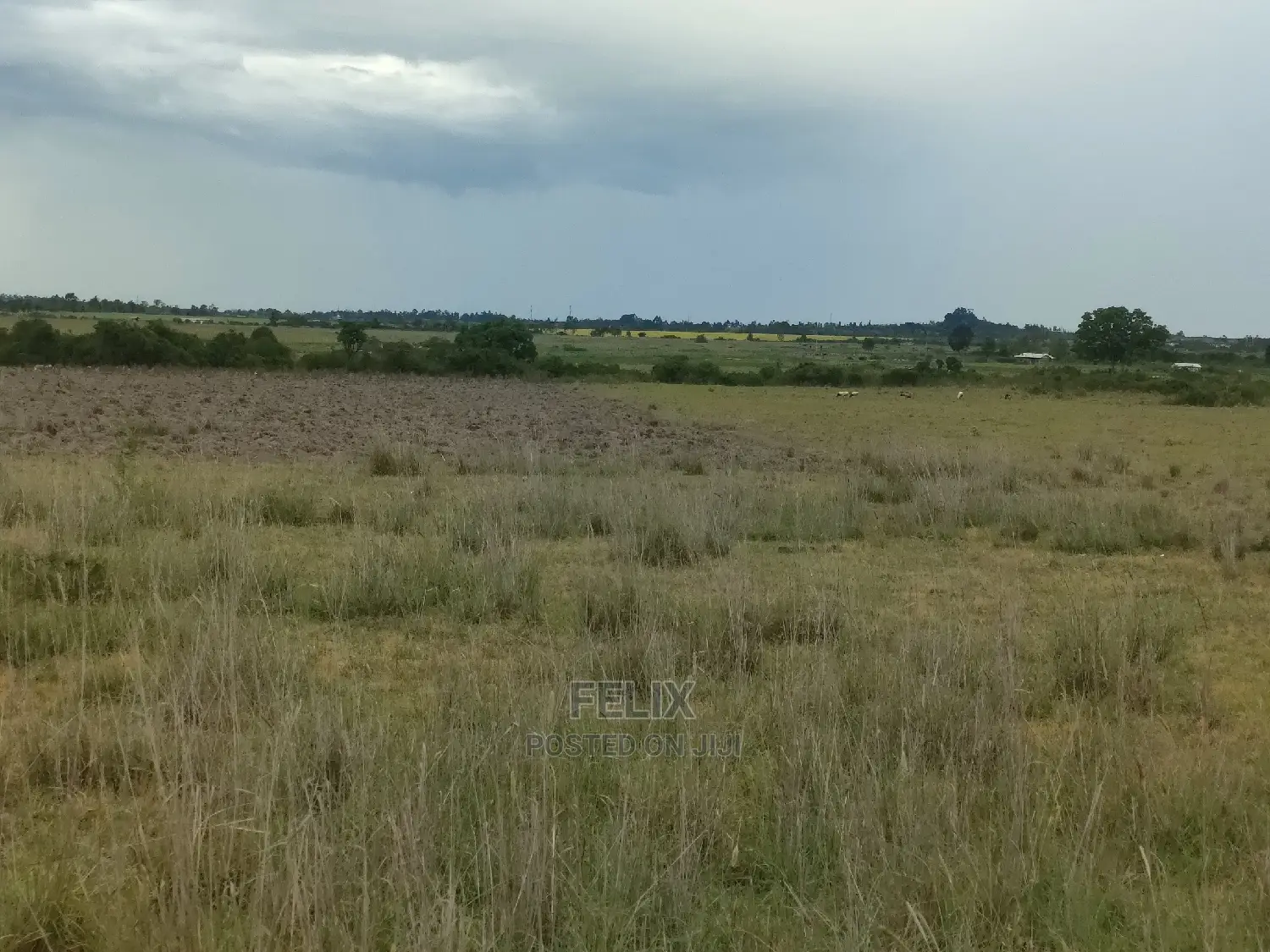 Chaka/Ngonde 283 Acres