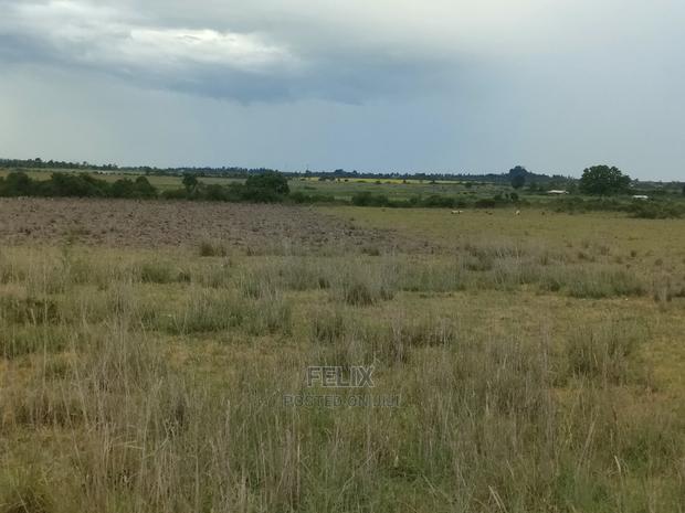 Chaka/Ngonde 283 Acres - main view