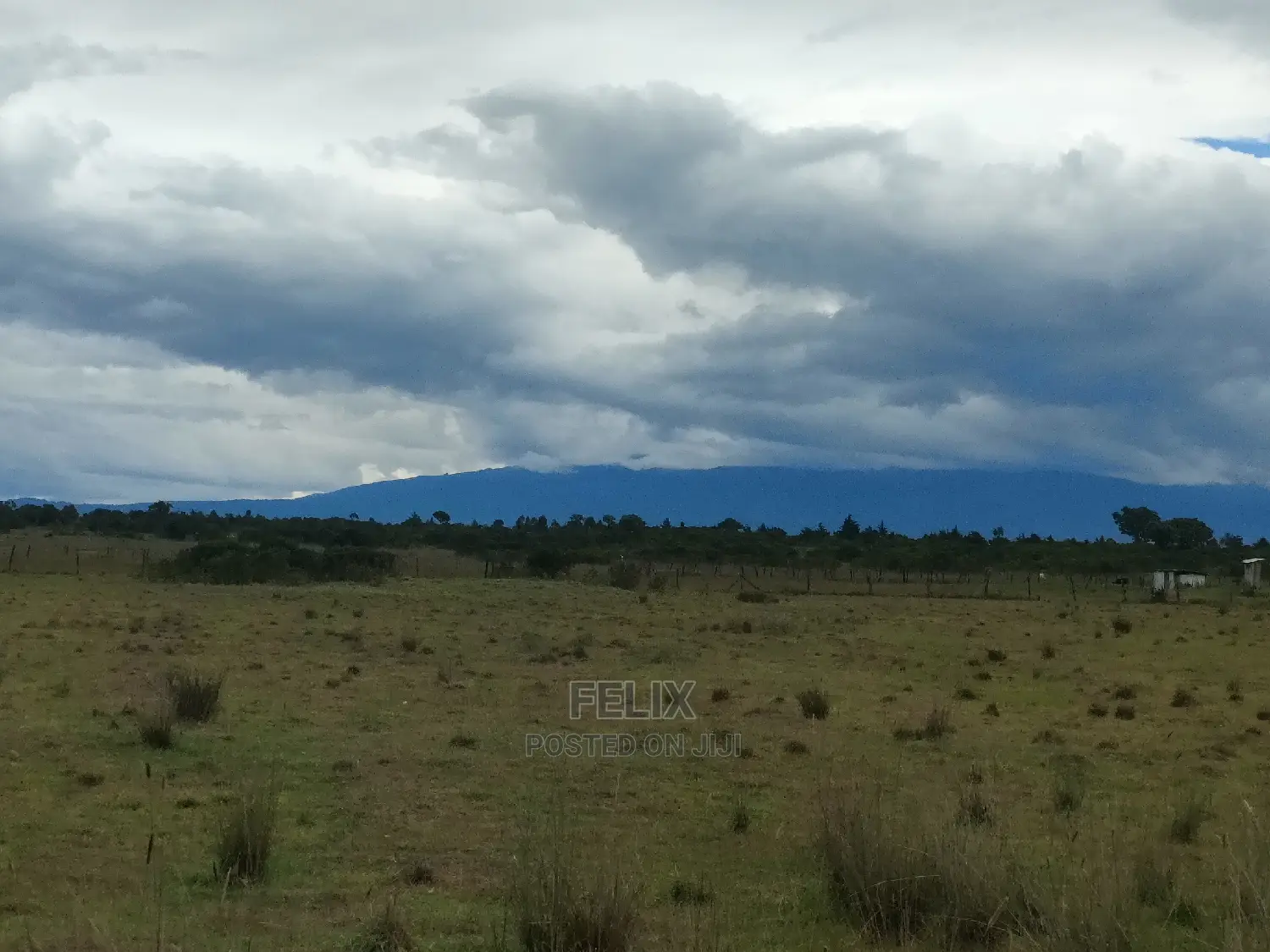 Chaka/Ngonde 283 Acres