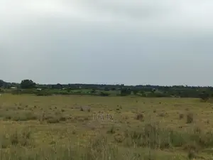 Chaka/Ngonde 283 Acres