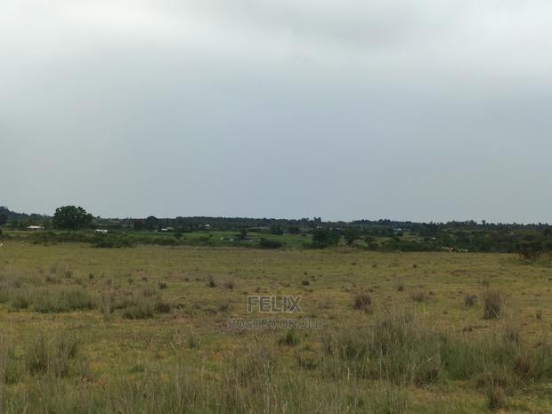 Chaka/Ngonde 283 Acres - thumbnail 2