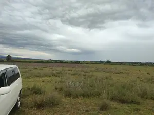 Chaka/Ngonde 283 Acres