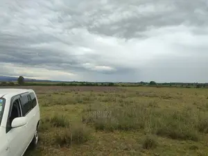Chaka/Ngonde 283 Acres