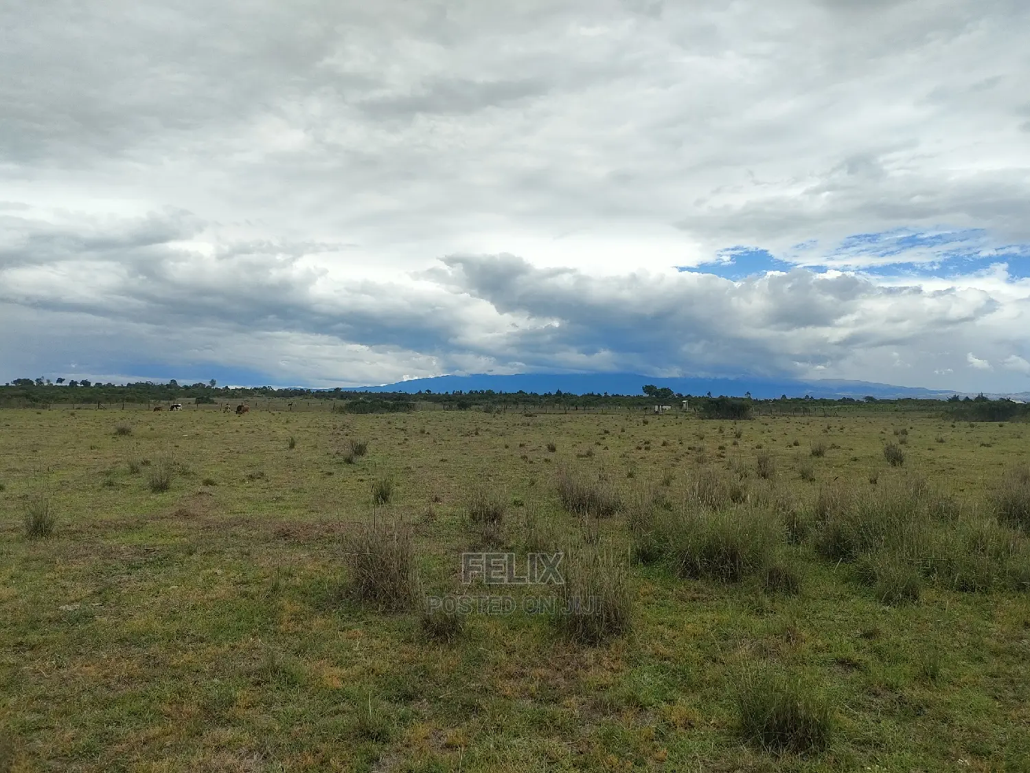 Chaka/Ngonde 283 Acres