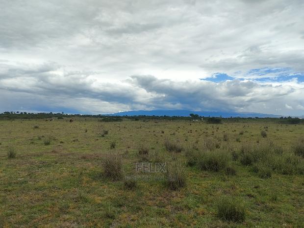 Chaka/Ngonde 283 Acres - thumbnail 6