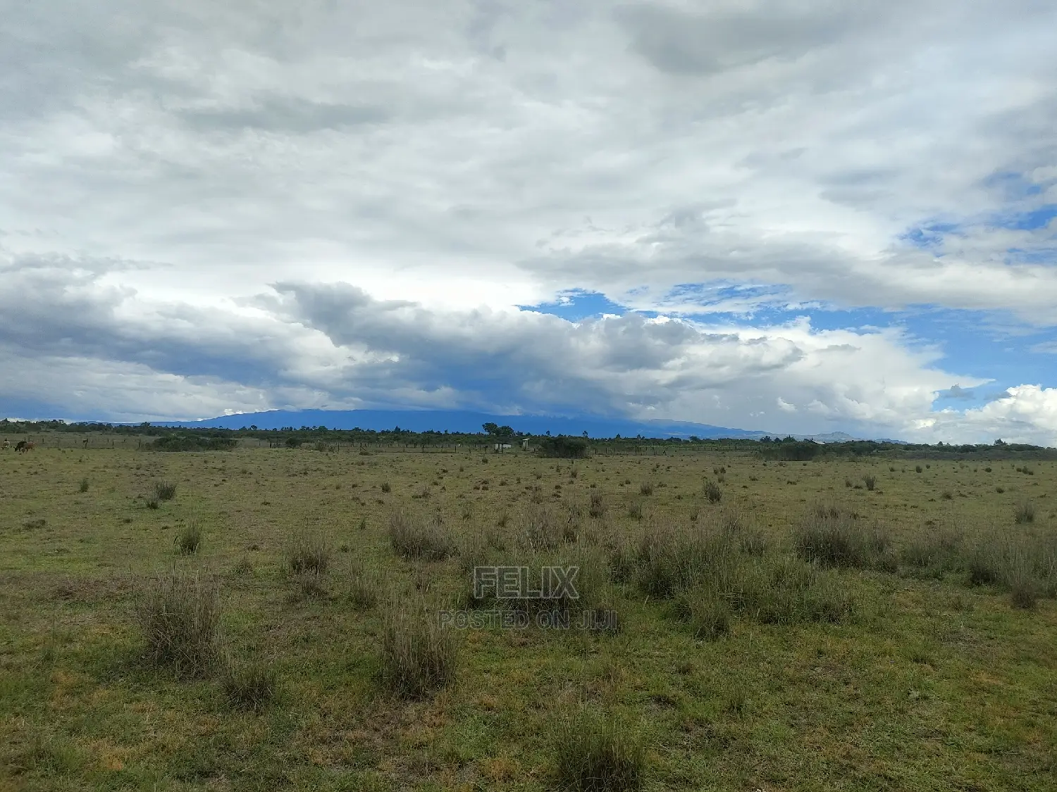 Chaka/Ngonde 283 Acres