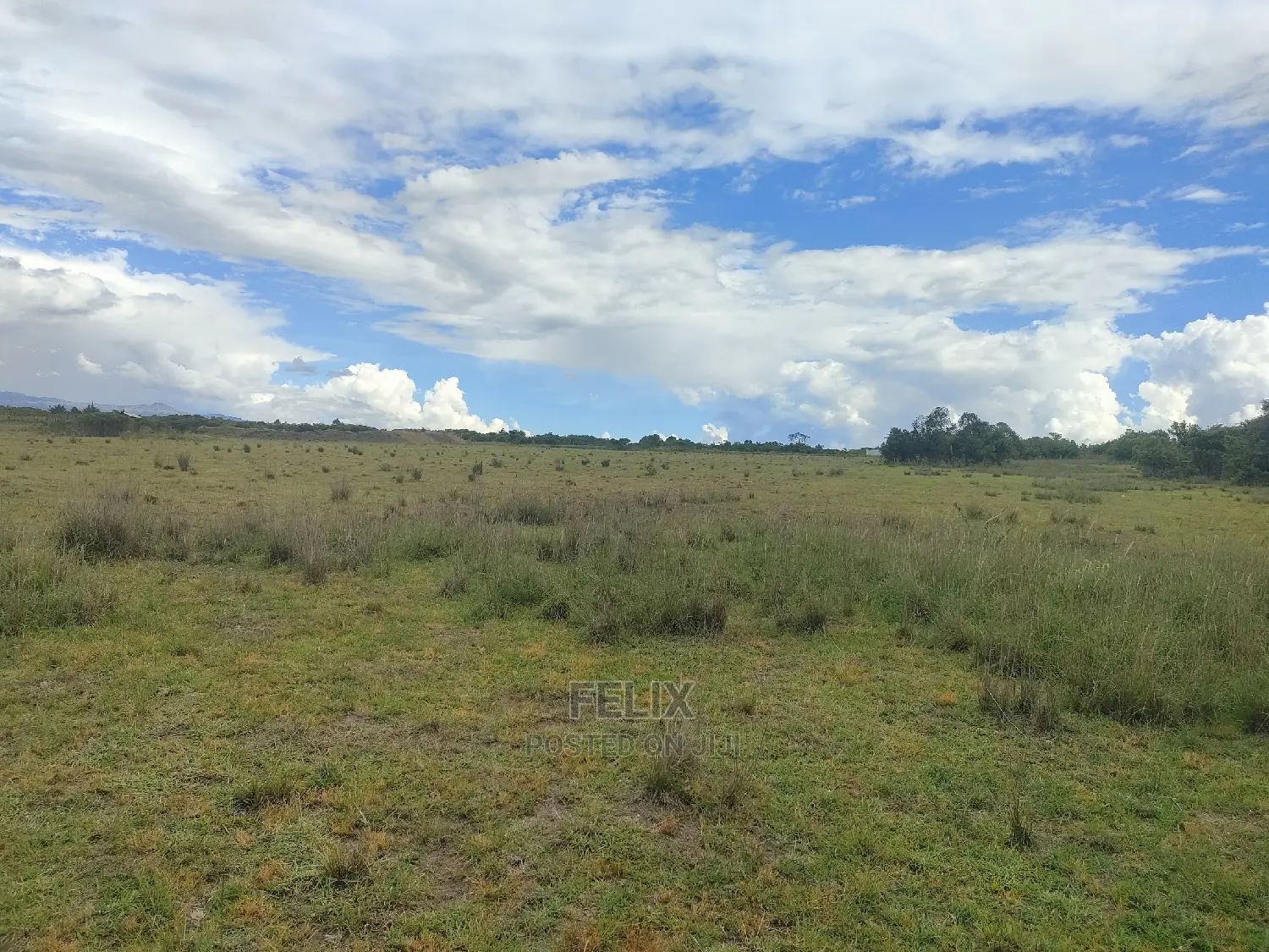 Chaka/Ngonde 283 Acres