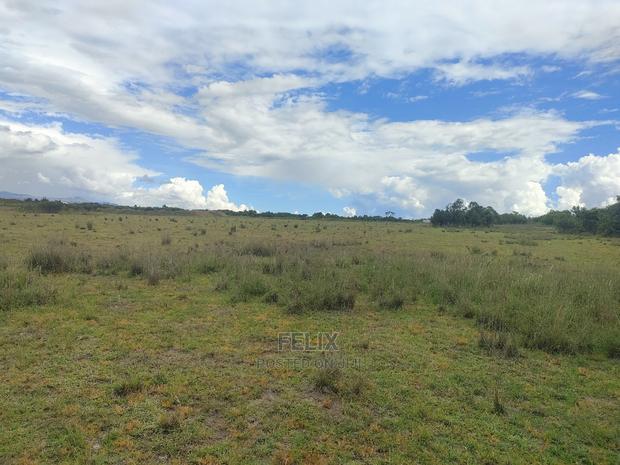 Chaka/Ngonde 283 Acres - thumbnail 9