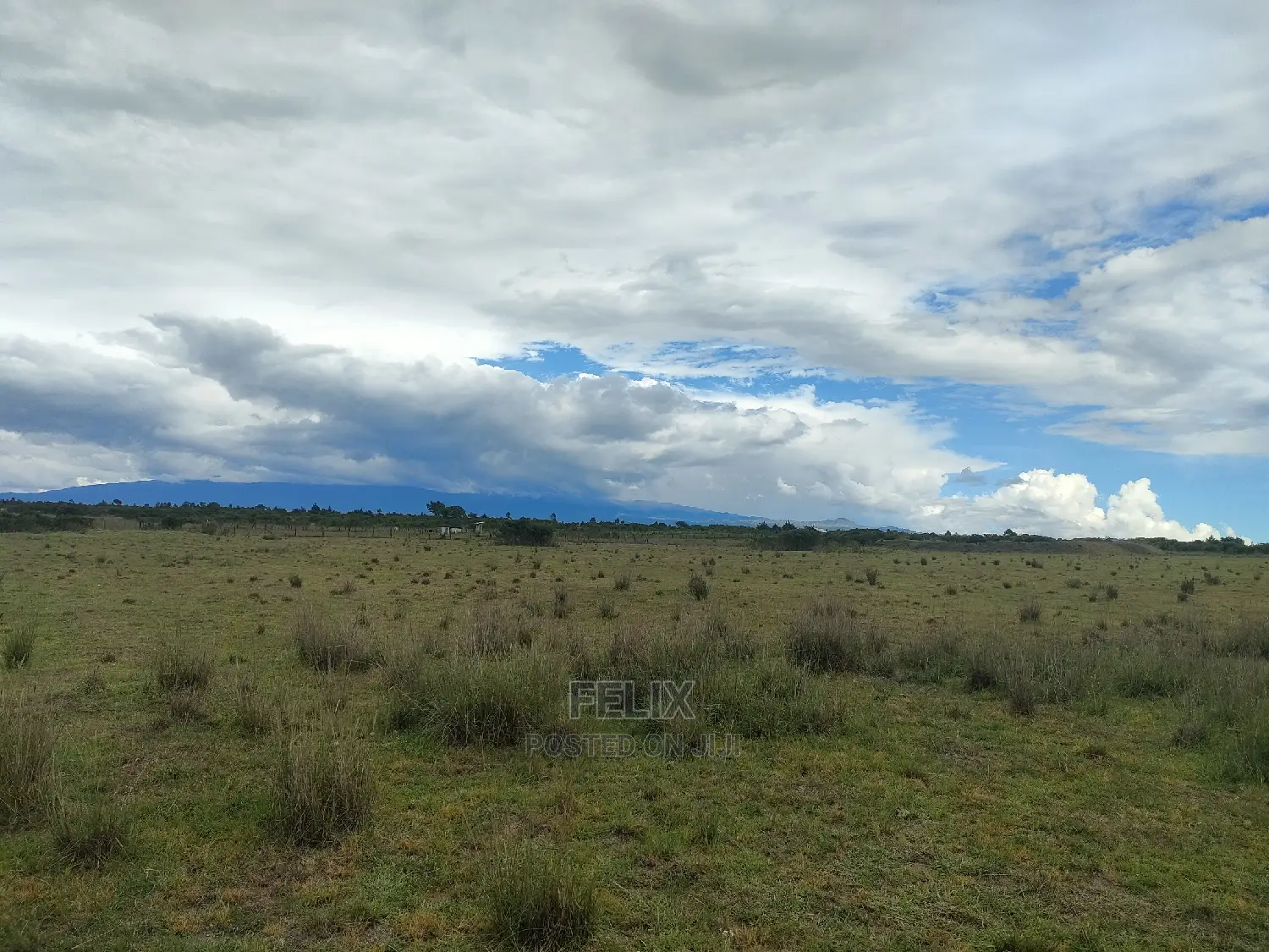 Chaka/Ngonde 283 Acres