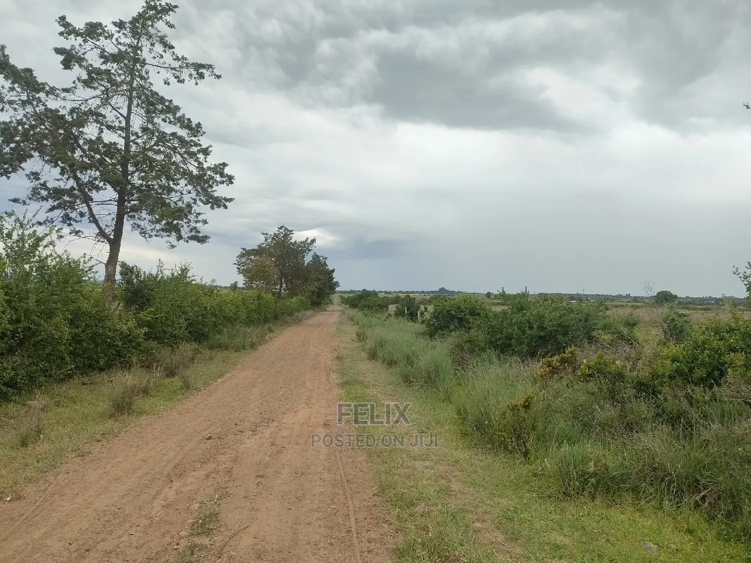 Chaka/Ngonde 283 Acres