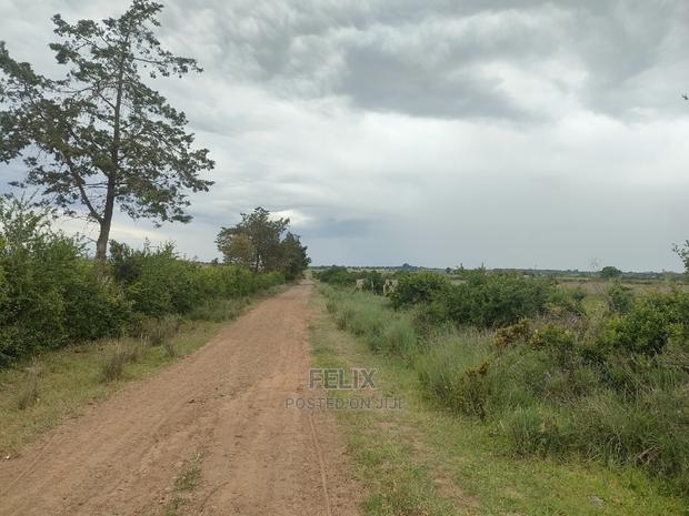 Chaka/Ngonde 283 Acres - thumbnail 10