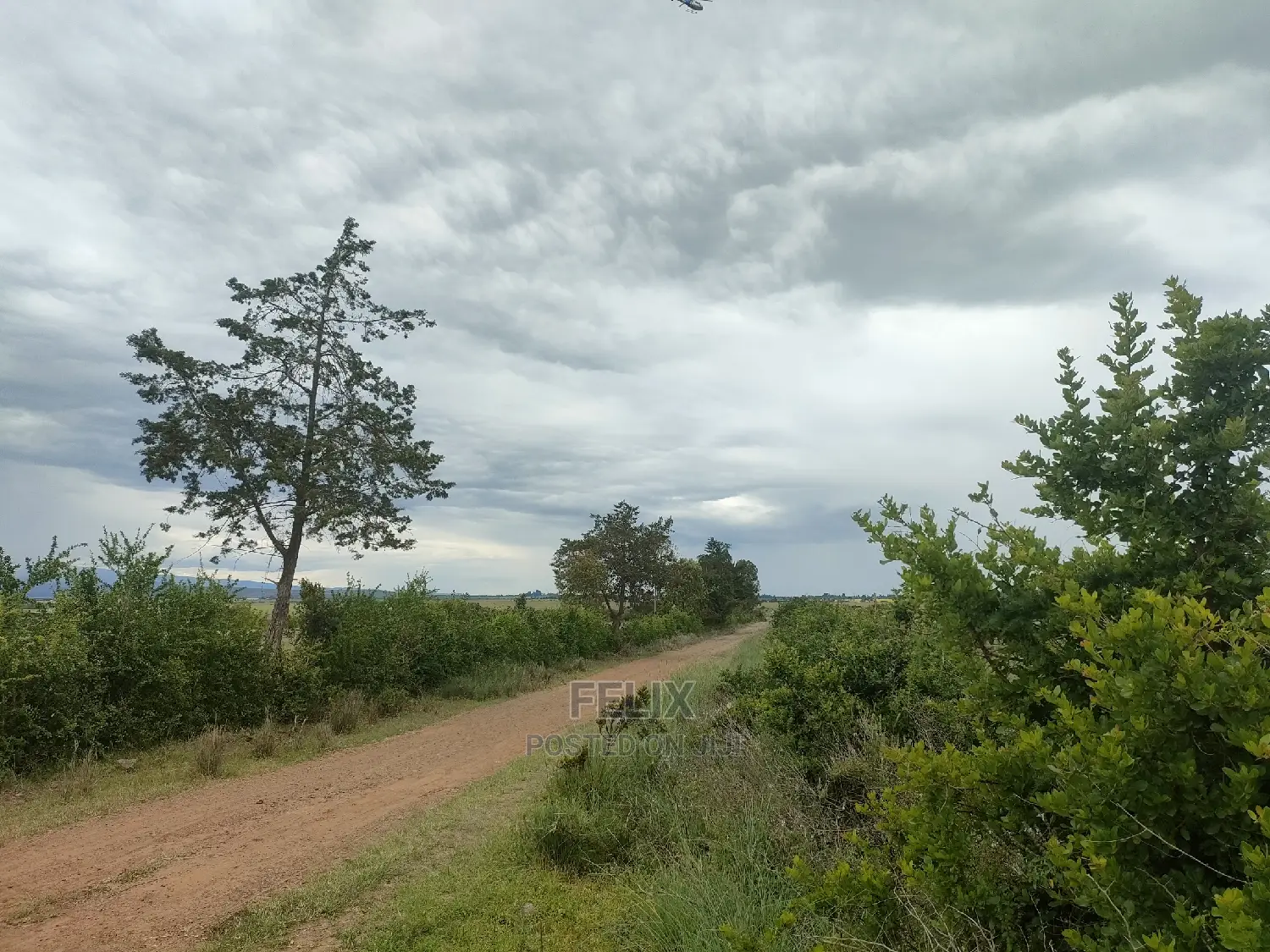 Chaka/Ngonde 283 Acres