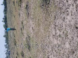 Kantafu Prime Plots - thumbnail 2