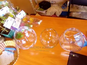 Fish Bowls and Accessories