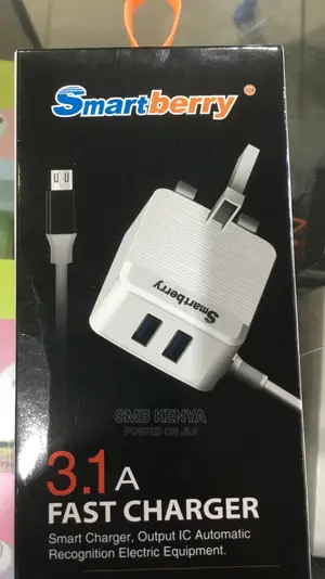 Fast Charger 2 USB Ports