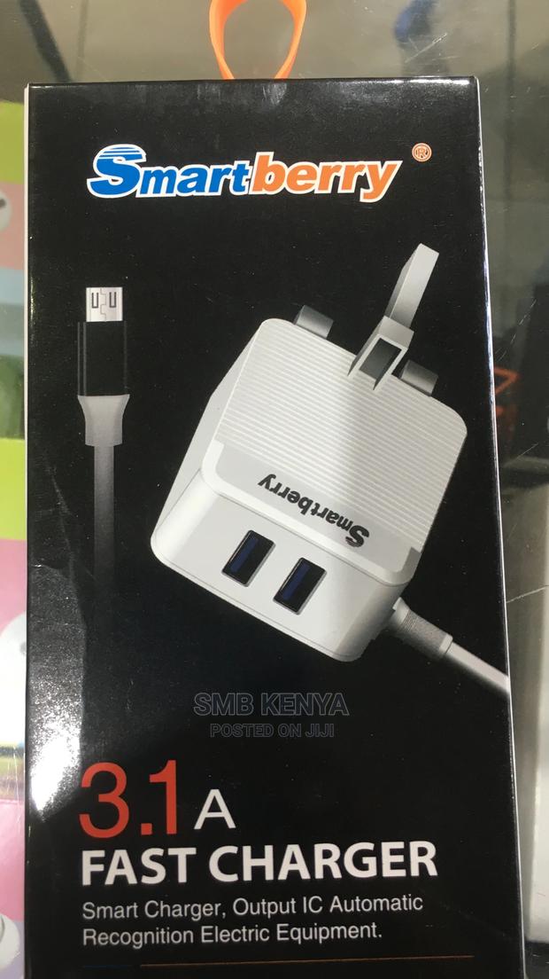 Fast Charger 2 USB Ports - main view