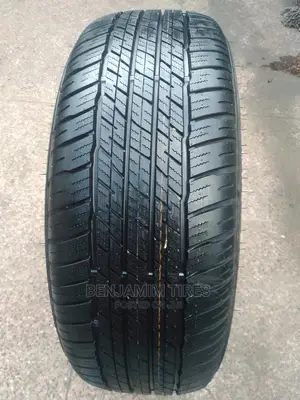 Dunlop Tires Sizes 265/55r19.