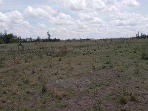 Bets Offer on Athi Farm Plots (Near Athi River) - thumbnail 2