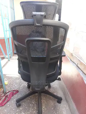 Orthopedic Mesh Chair