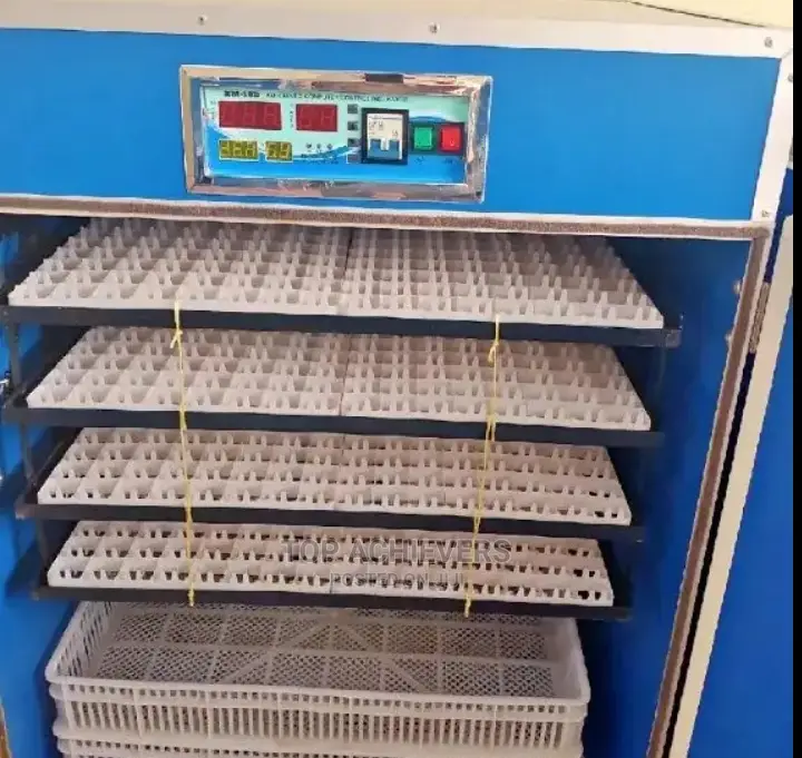 328 Egg Incubators Automatic