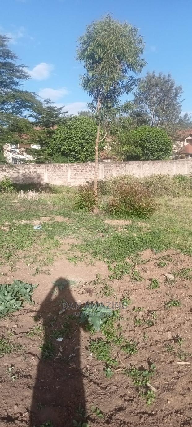 Half an Acre for Sale in Bulbul Ngong - main view