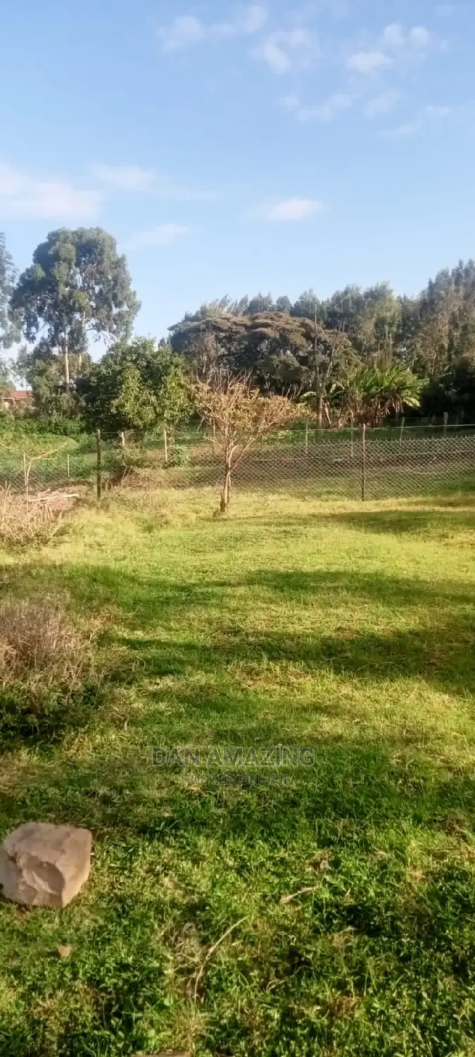 Half an Acre for Sale in Bulbul Ngong