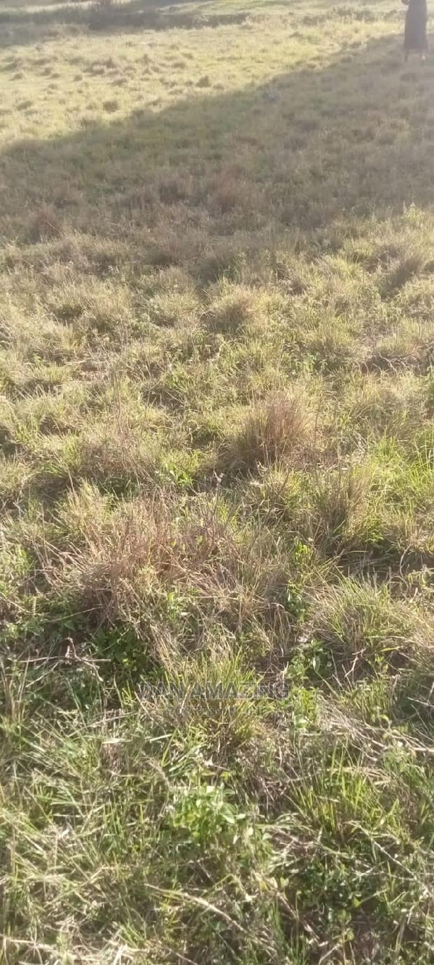 Half an Acre for Sale in Bulbul Ngong - thumbnail 12