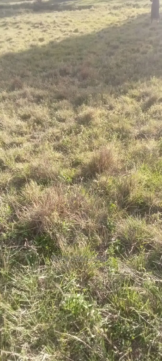 Half an Acre for Sale in Bulbul Ngong