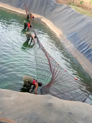 Aquaculture Services