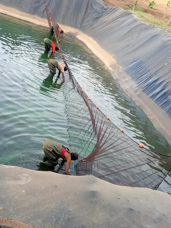 Aquaculture Services