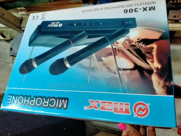 Max Microphone 306