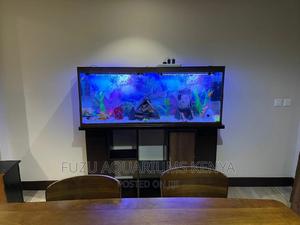 5ft Aquarium - thumbnail 2
