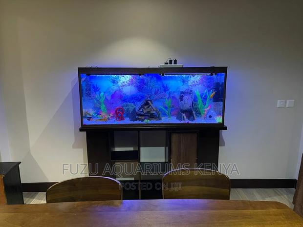 5ft Aquarium - main view