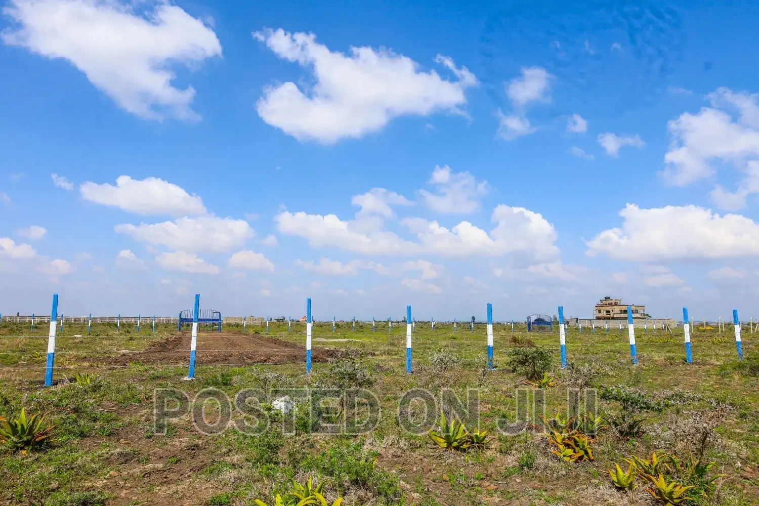 Affordable Plots in Ruiru Kamakis ^JO