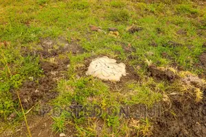 Affordable Plots in Ruiru Kamakis ^JO