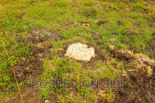 Affordable Plots in Ruiru Kamakis ^JO - thumbnail 5