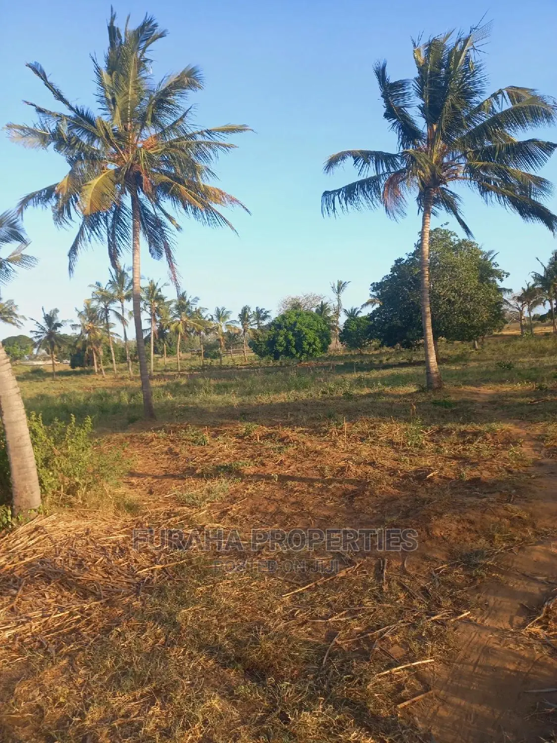 For Sale 3 Acre Kilifi Mavueni.