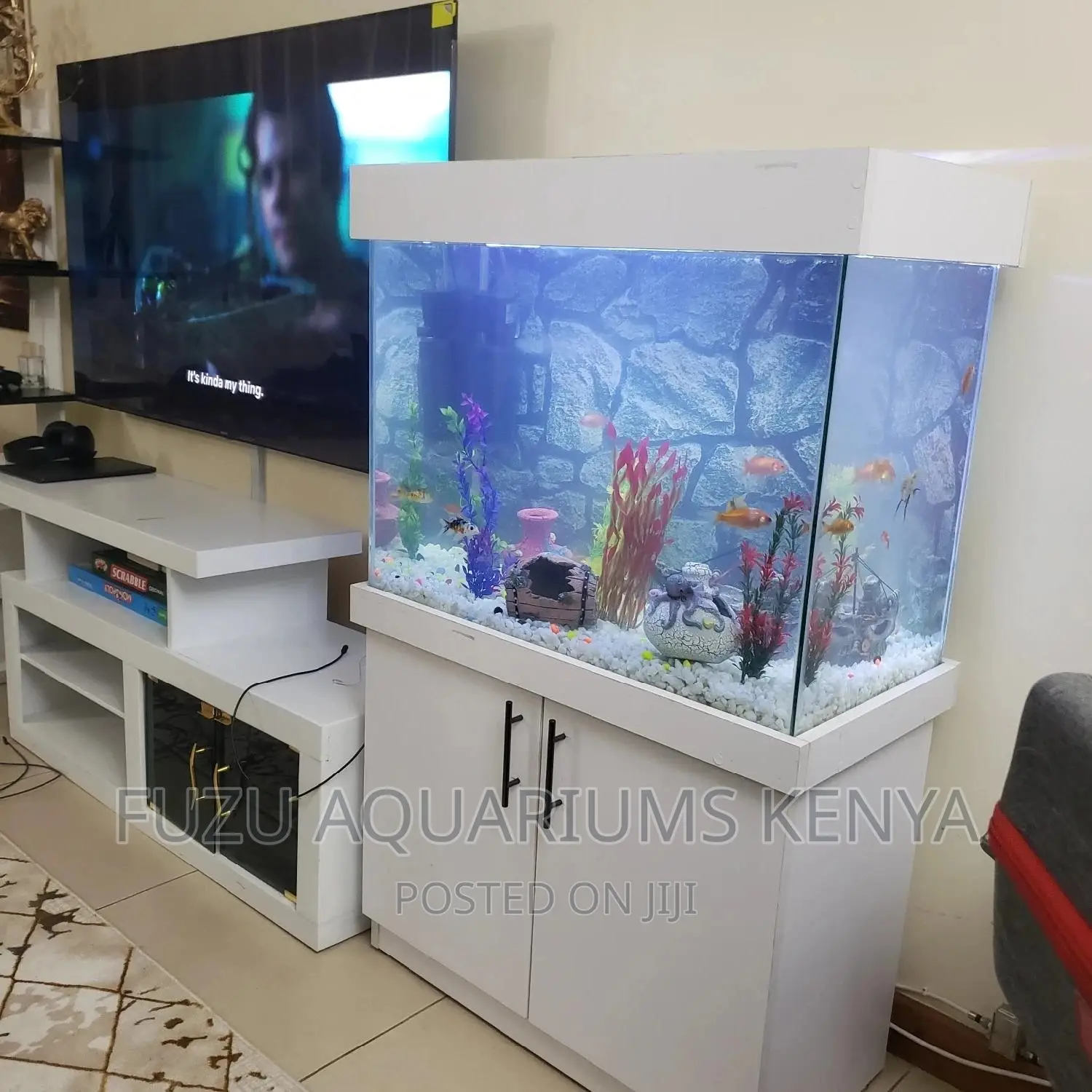 Aquarium Next to Tv