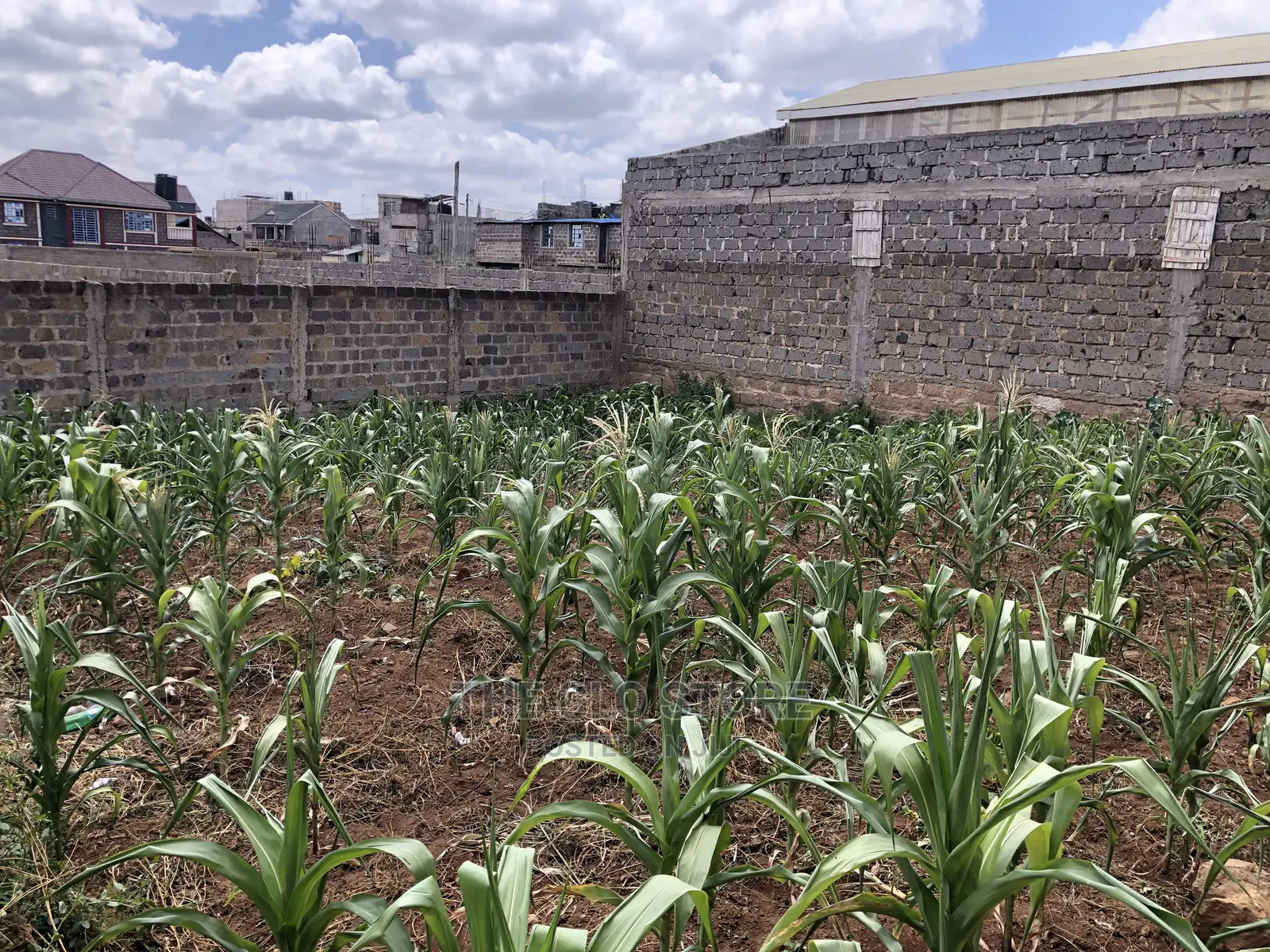 60 by 60 Plot in Njiru in Njiru Land & Plots for Sale, Jus Glo Jiji