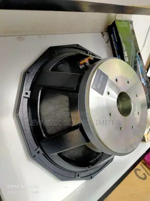 PD 18 Inch Naked Speaker