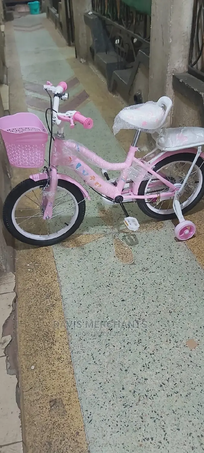 Lady Bicycle Size 16