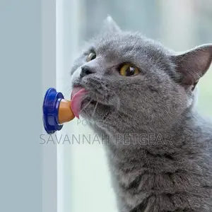 Catnip Candy Cat Treat Snack