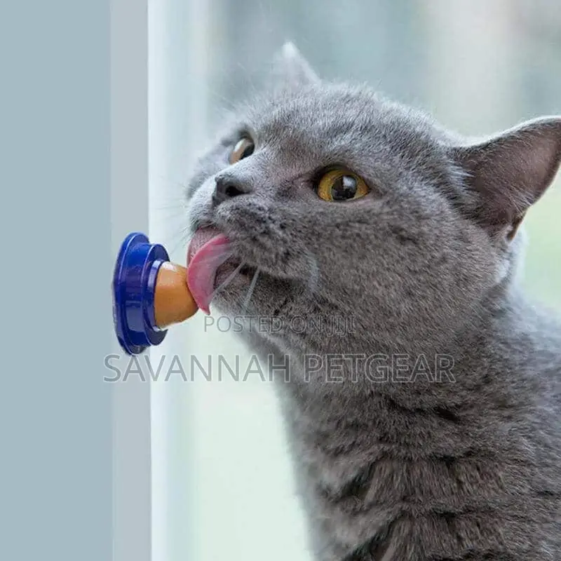 Catnip Candy Cat Treat Snack