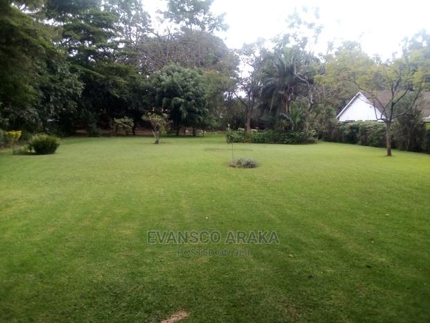 Land for Sale - thumbnail 2