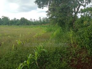 Quarter An Acre On Sale At Sabasaba - main view