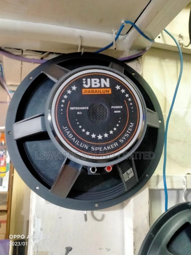 JBN 15 Inch Naked Speaker