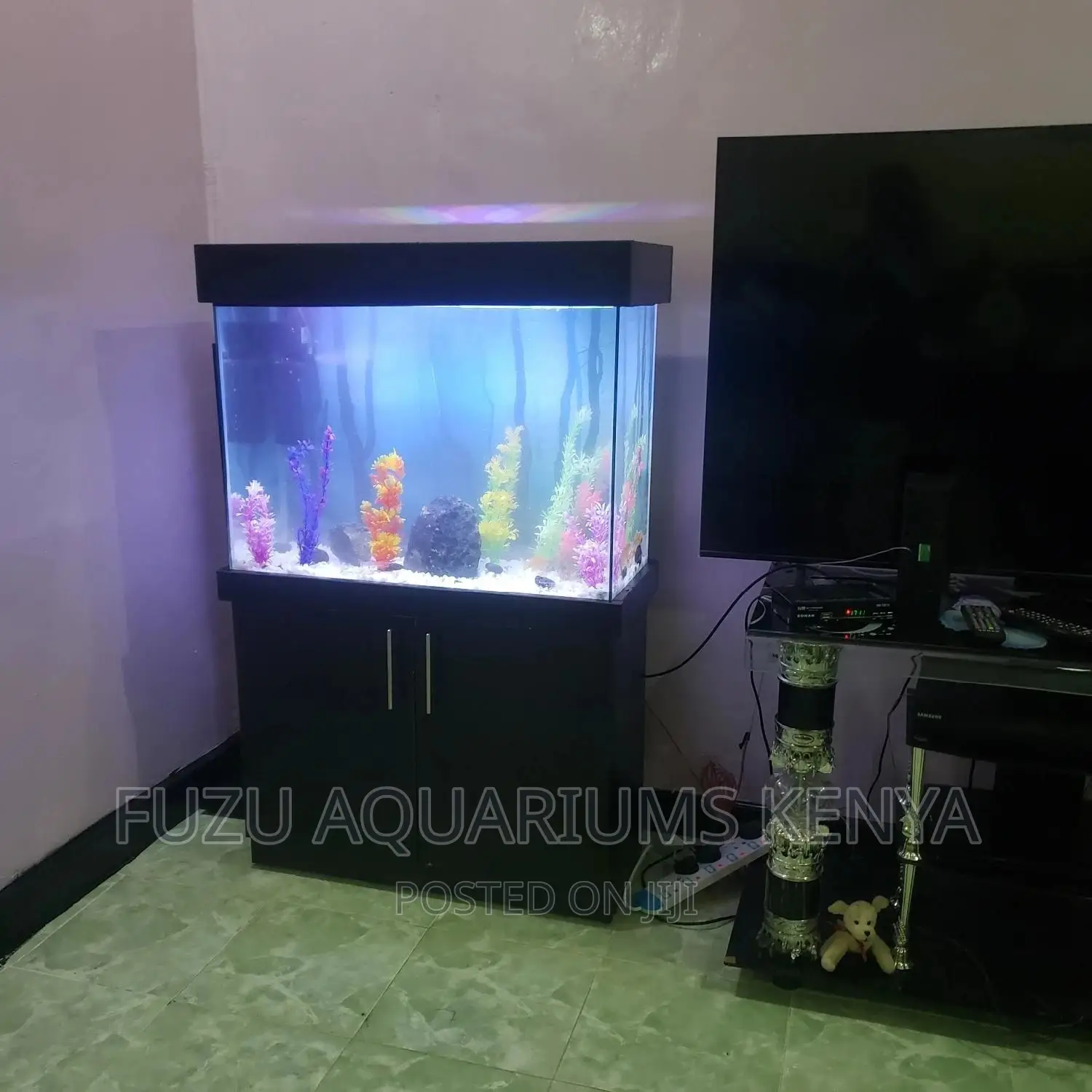 Aquarium With Stand and Deco