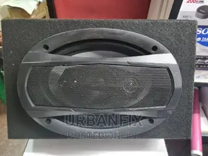 Pioneer 600 Watts Midrange Speaker With Cabinet