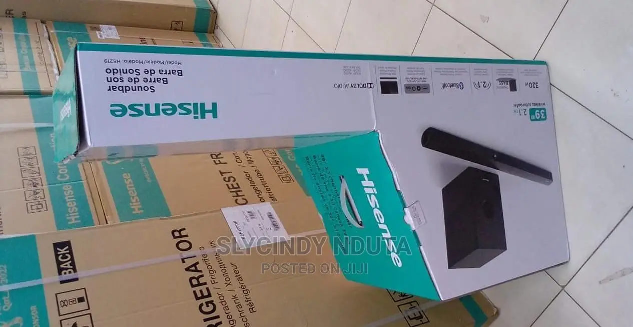 Hisense HS219(330 Watts)